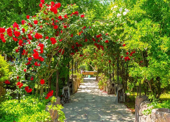 Casa vacanze Asli Paradise