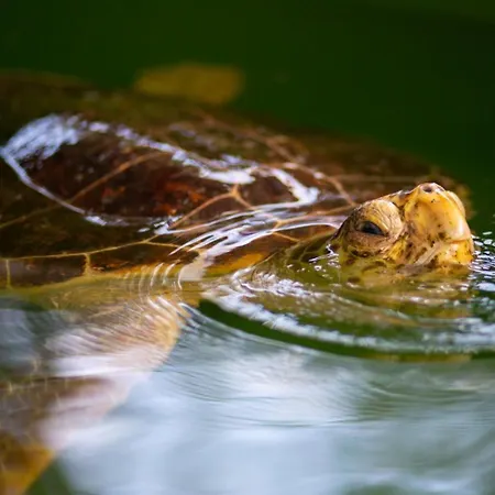 Prázdninový dům Asli Paradise