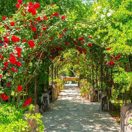 Tatil Evi Asli Paradise
